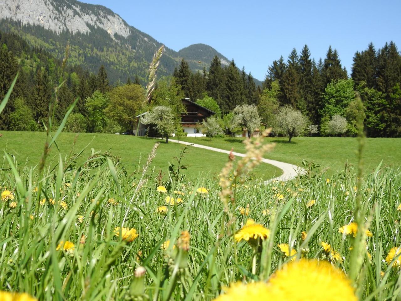Bauernhof Hintenberg Itter Kültér fotó
